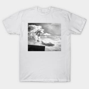 Arm in the Clouds T-Shirt